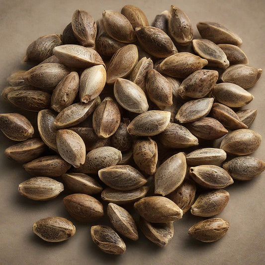 Healthy marijuana seeds