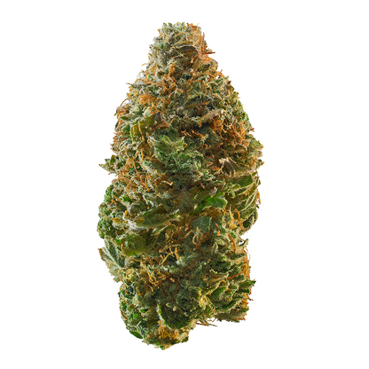 AK Skunk - Indica Regular Marijuana Seeds