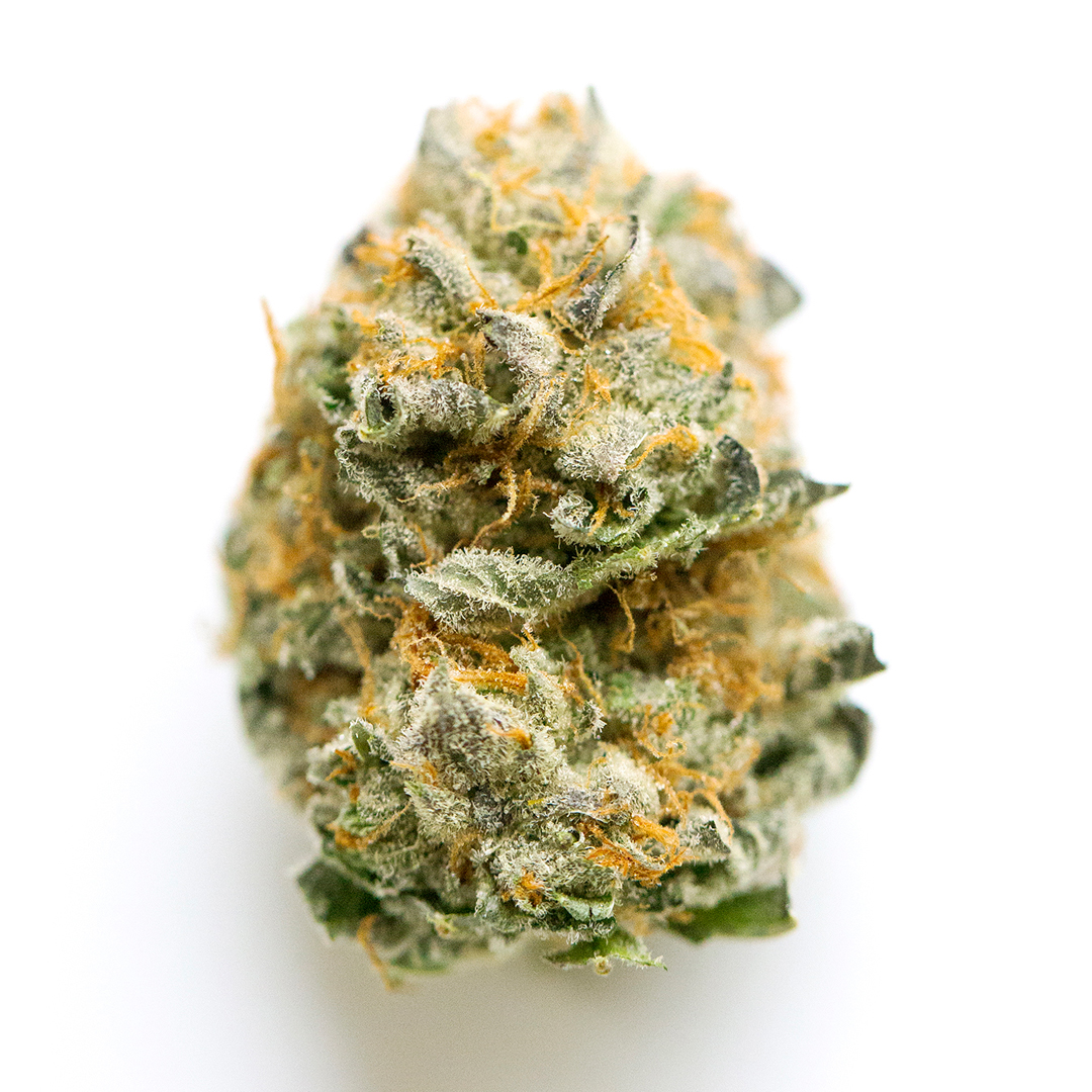 Black Russian - Indica Feminized Marijuana Seeds