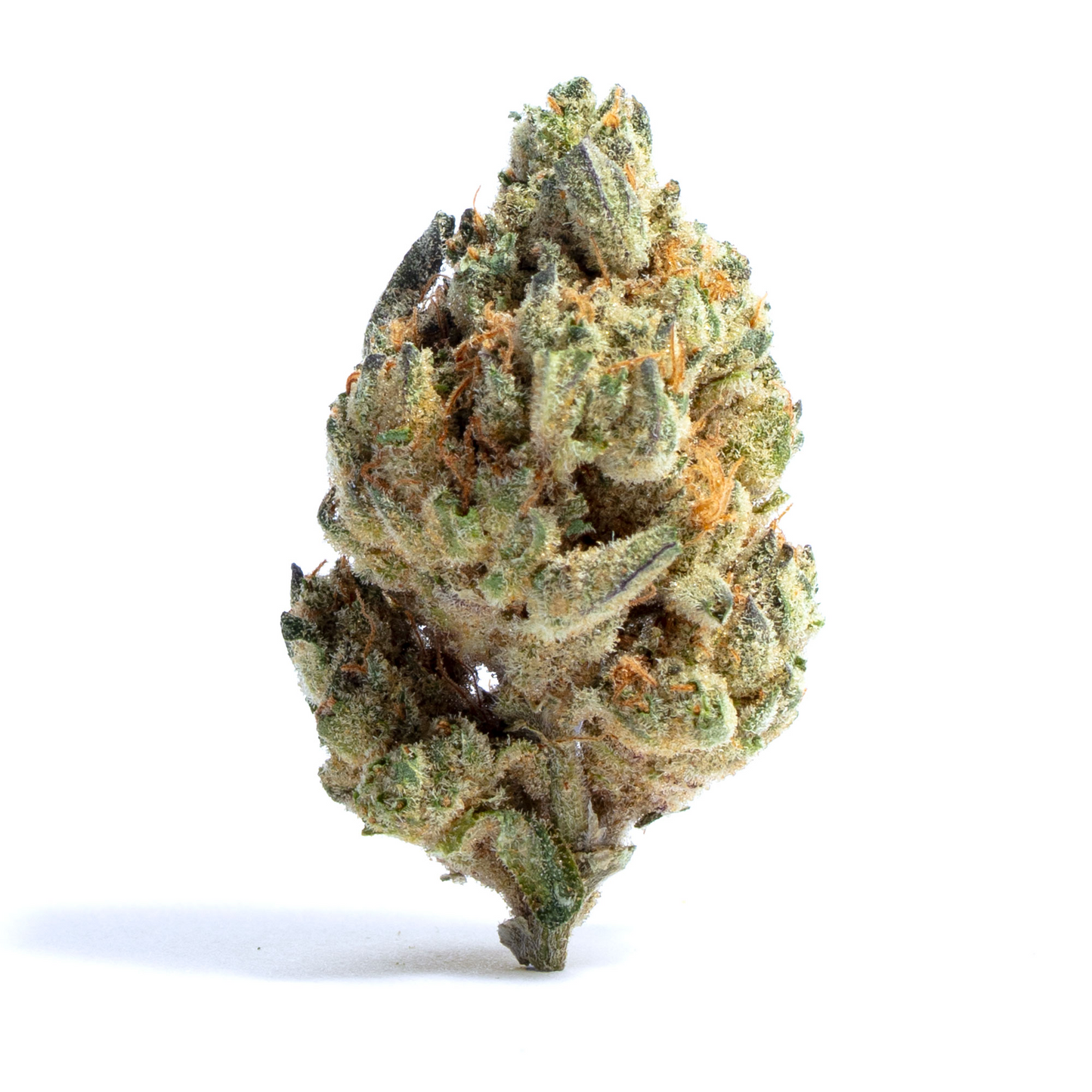 Black Widow - Sativa Feminized Marijuana Seeds