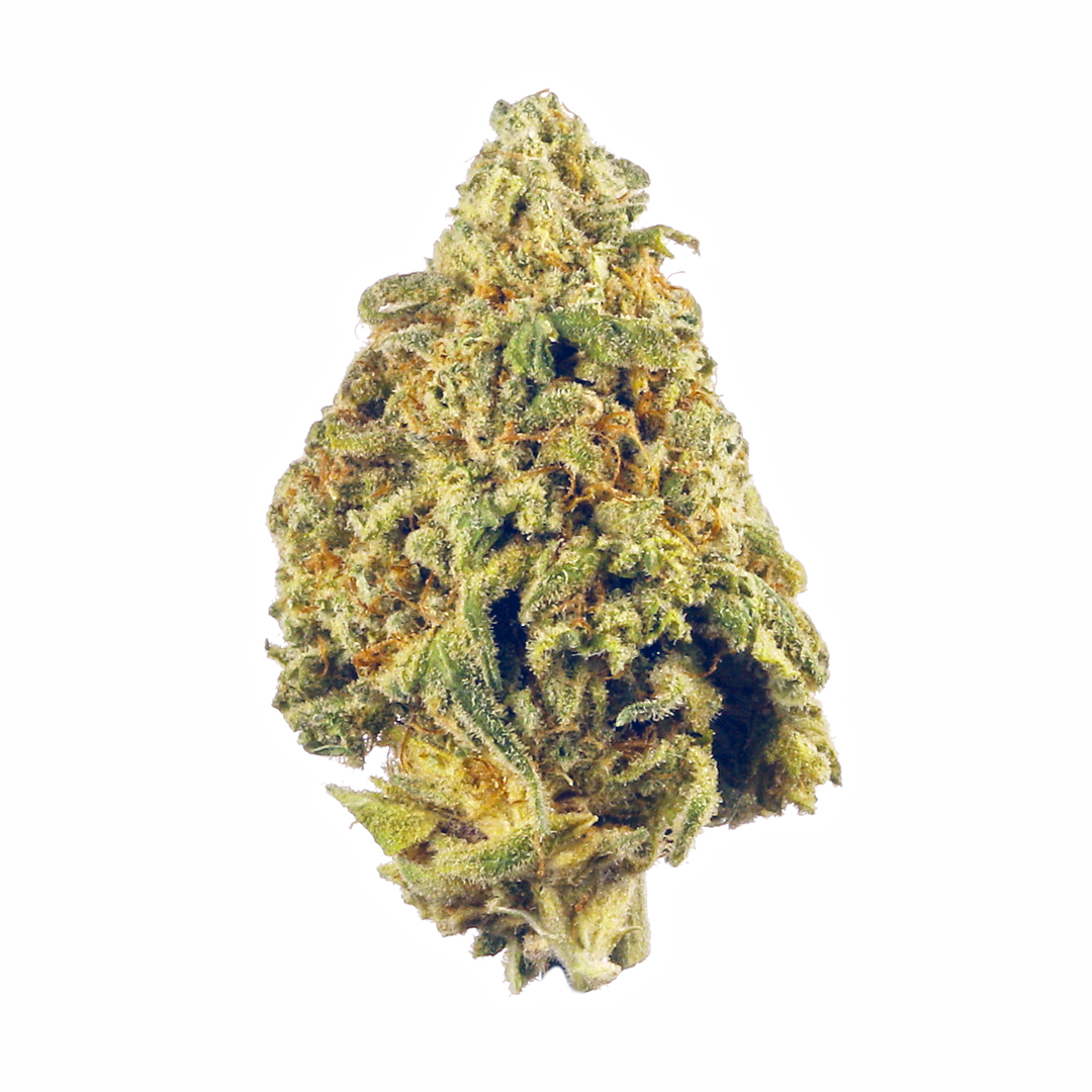 Blue Haze - Sativa Feminized Marijuana Seeds