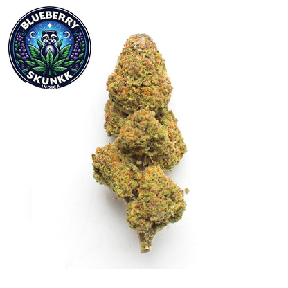 Blueberry Skunkk - Indica