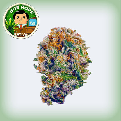 Bob Hope Flower - Sativa