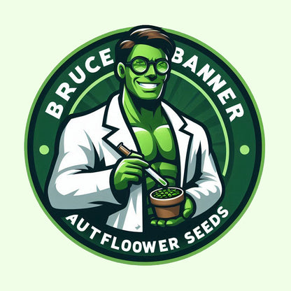 Bruce Banner - Sativa Autoflower Marijuana Seeds