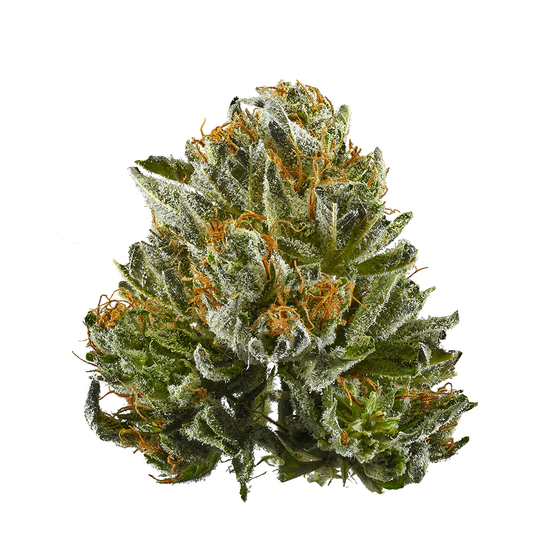 Bubba Kush - Indica Feminized Marijuana Seeds