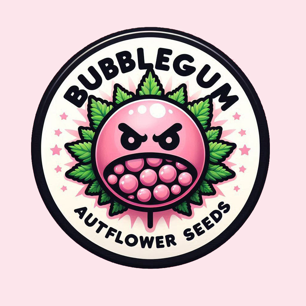 Bubblegum  - Autoflower Marijuana Seeds