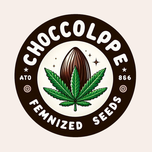 Chocolope - Sativa Feminized Marijuana Seeds