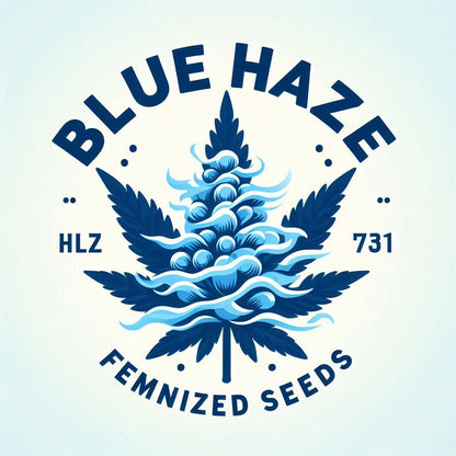 Blue Haze - Sativa Feminized Marijuana Seeds