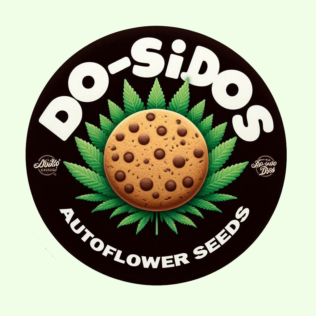 Do-si-dos - Autoflower Marijuana Seeds