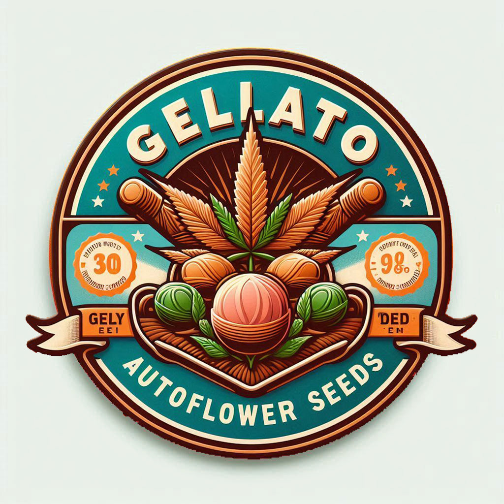 Gelato - Indica Autoflower Marijuana Seeds