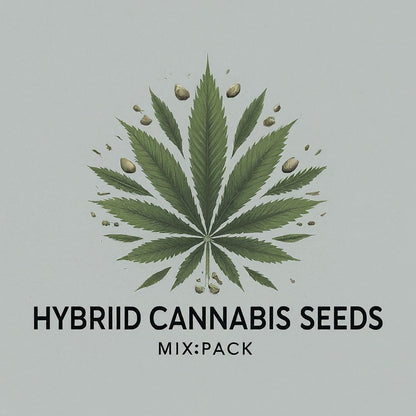 Hybrid Cannabis Seeds