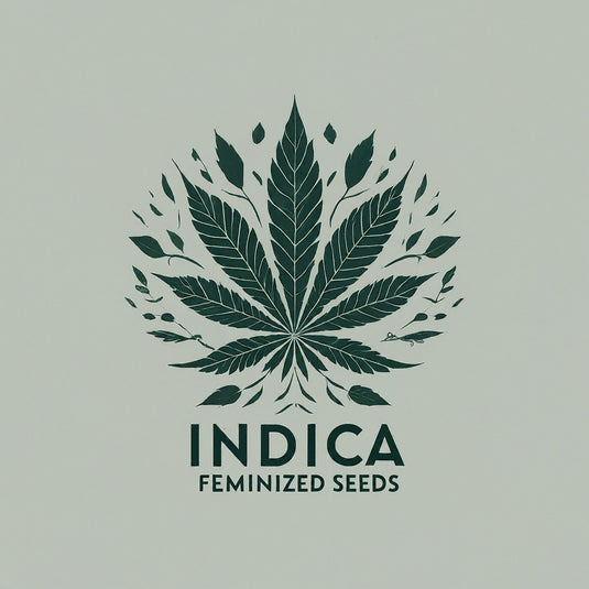 Indica Feminized Cannabis Seeds