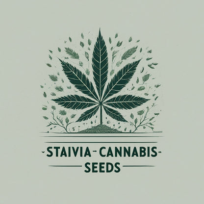 Sativa Cannabis Seeds Mixpack