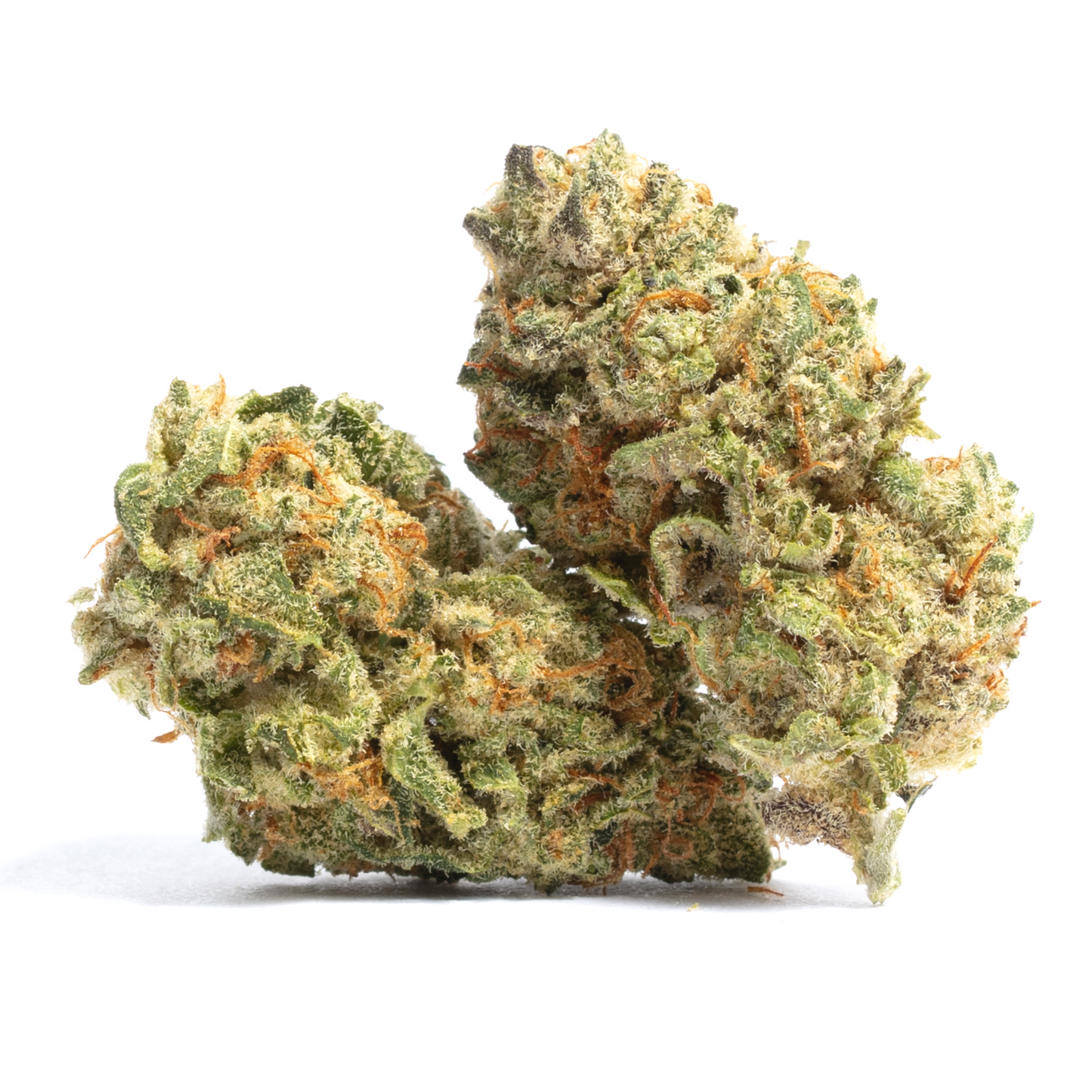 Godfather OG - Indica Feminized Marijuana Seeds