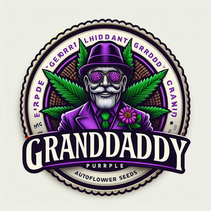 Granddaddy - Purple Autoflower Marijuana Seeds