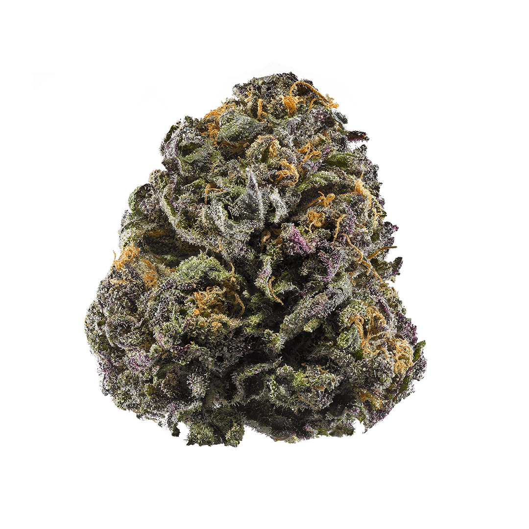 Granddaddy - Purple Autoflower Marijuana Seeds