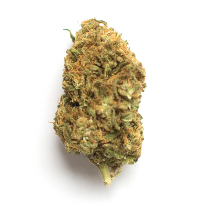 Grapefruit - Sativa Feminized Marijuana Seeds