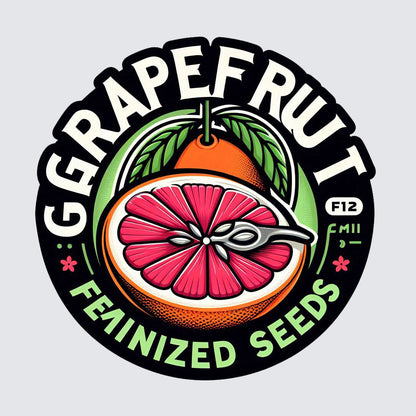 Grapefruit - Sativa Feminized Marijuana Seeds