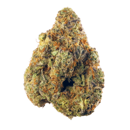 Hindu Kush - Indica Feminized Marijuana Seeds