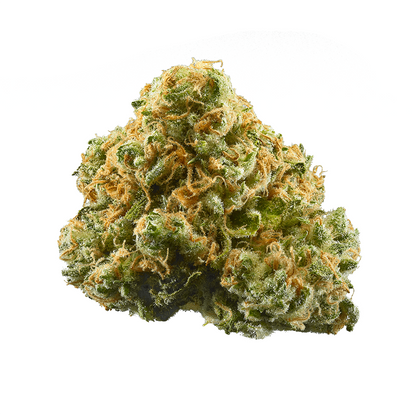 Huckleberry - Sativa Regular Marijuana Seeds