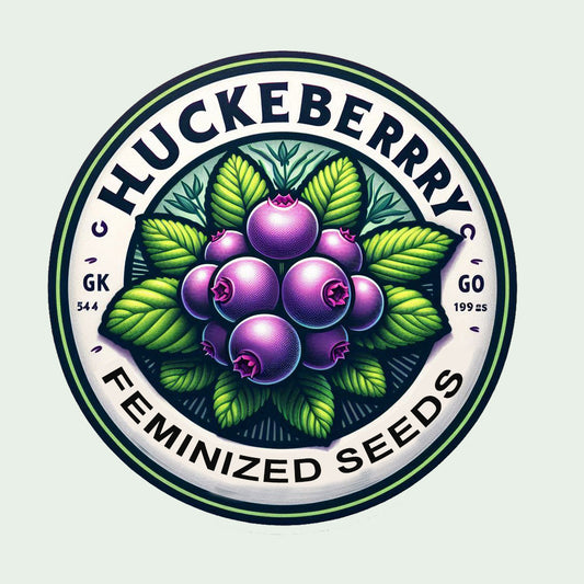 Huckleberry - Sativa Regular Marijuana Seeds