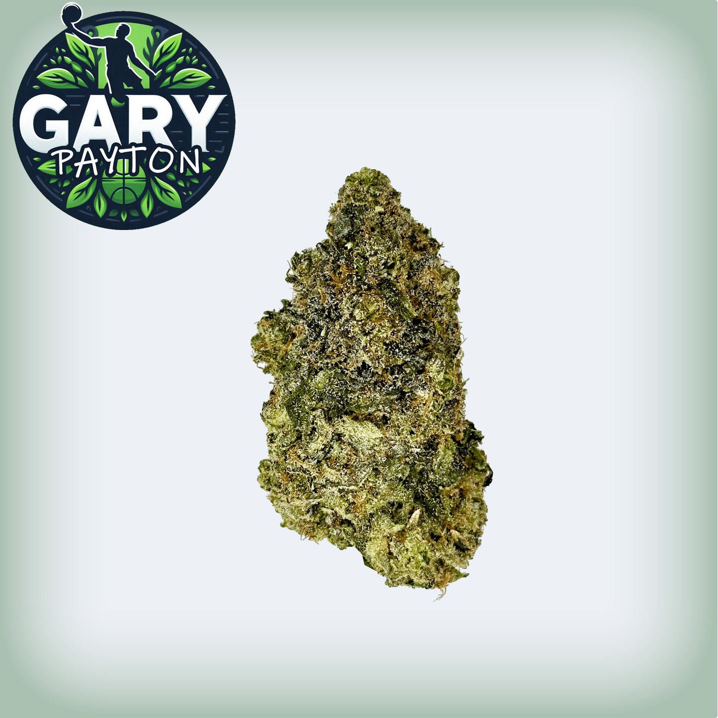 Gary Payton THCa