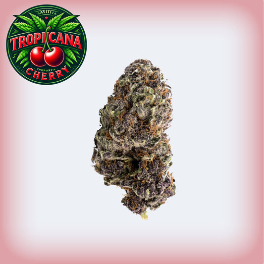 Tropicana Cherry THCa