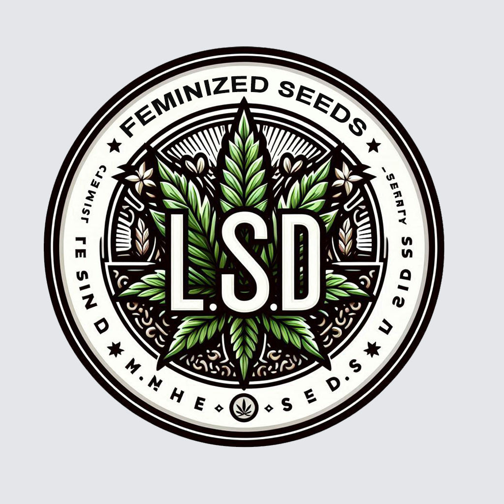 LSD - Indica Feminized Marijuana Seeds