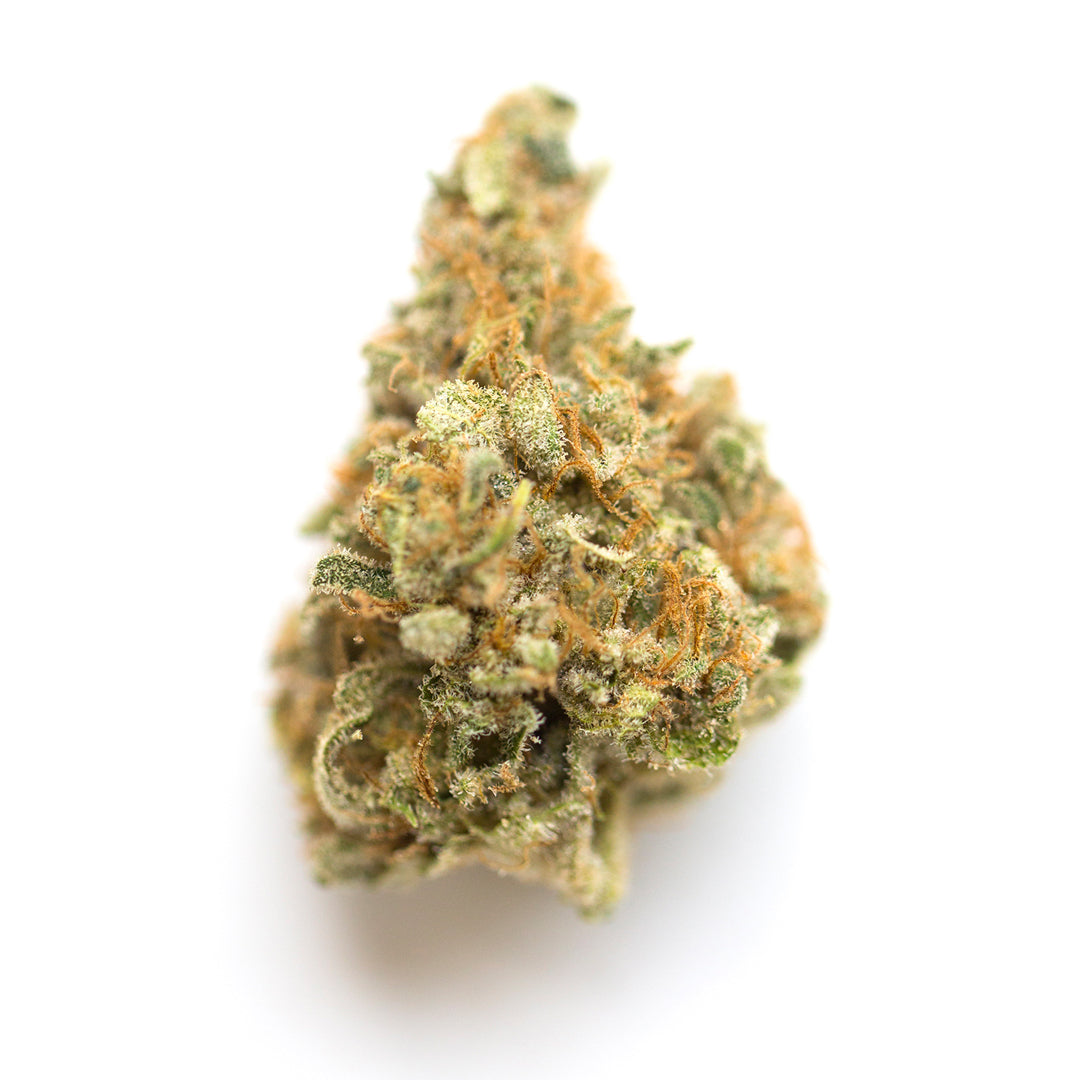 Mango Kush - Indica Feminized Marijuana Seeds