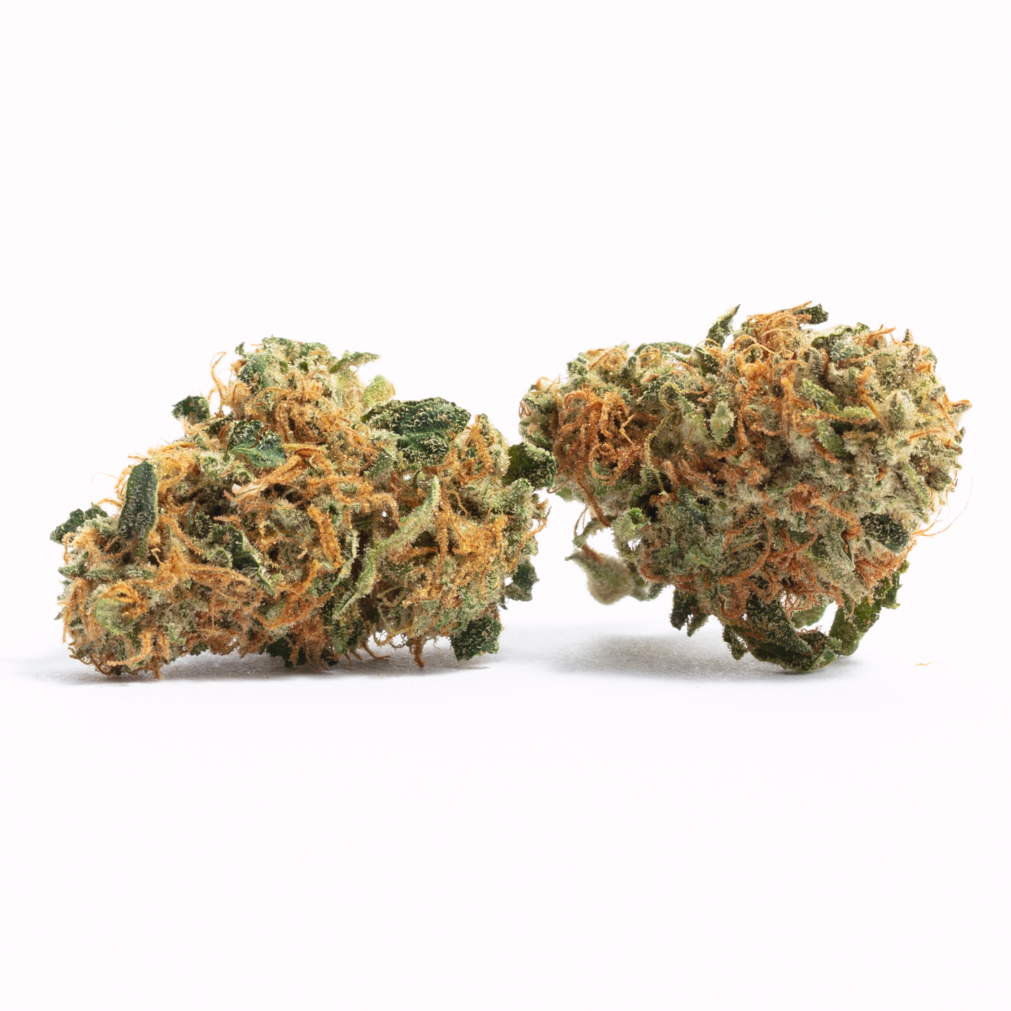 Maui Wowie - Sativa Feminized Marijuana Seeds