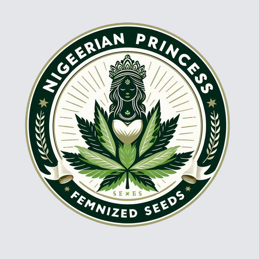 Nigerian Princess - Sativa Regular Marijuana Seeds