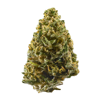 Northern Lights - Indica Feminized Marijuana Seeds