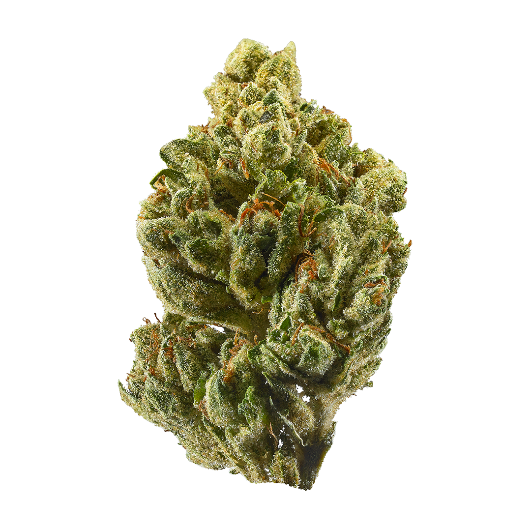 OG Kush - Indica Feminized Marijuana Seeds