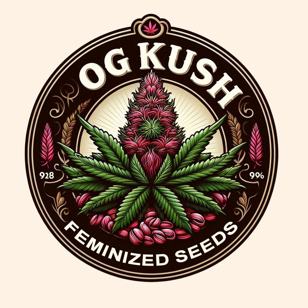 OG Kush - Indica Feminized Marijuana Seeds