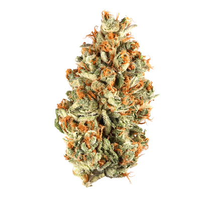 Orange Bud - Indica Feminized Marijuana Seeds