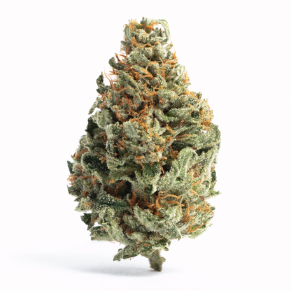 Pineapple Haze - Sativa Feminized Marijuana Seeds