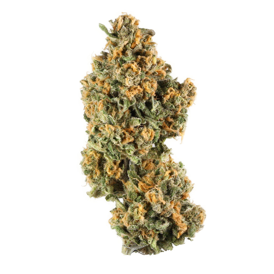 Pink Champagne - Sativa Regular Marijuana Seeds