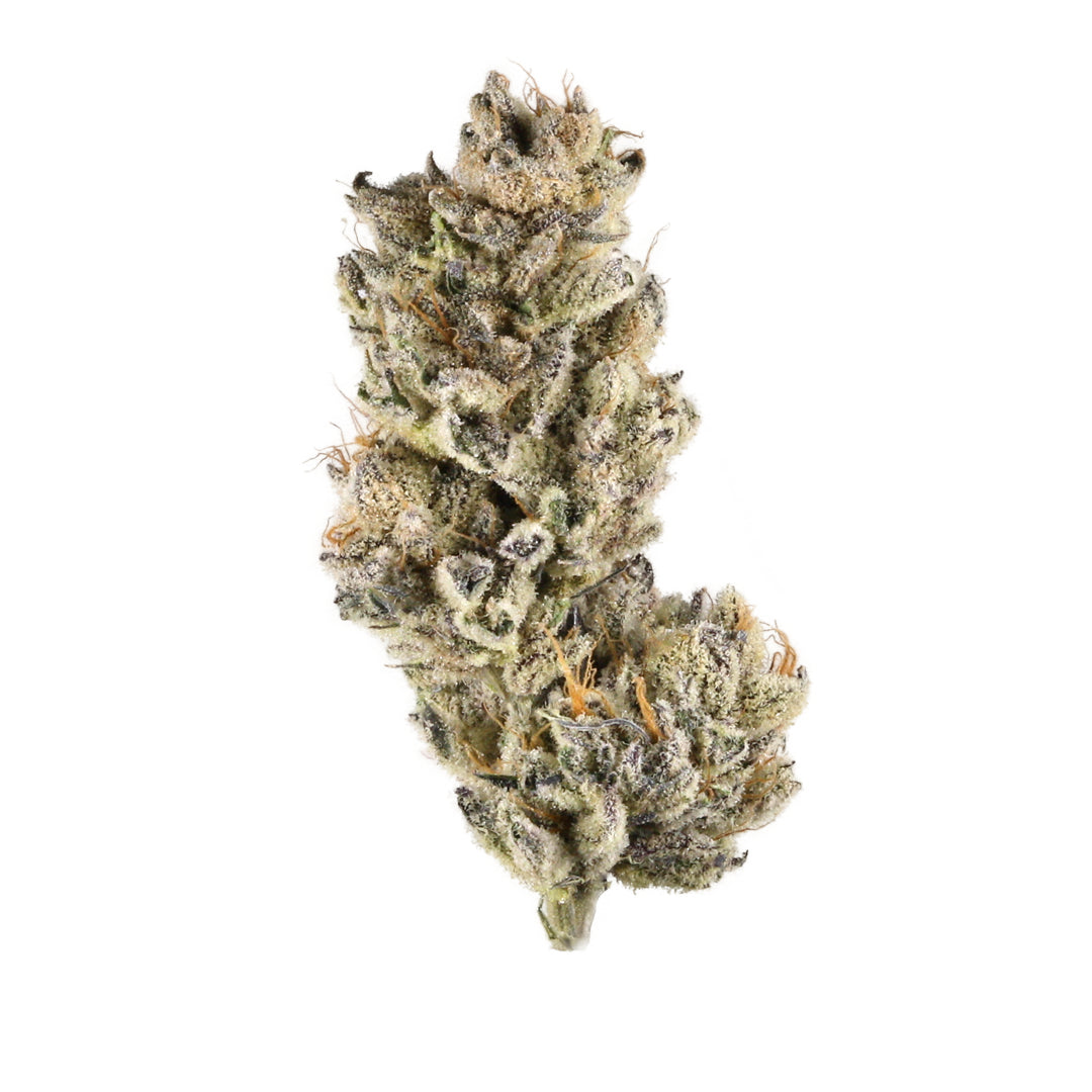 Purple Punch - Indica Feminized Marijuana Seeds