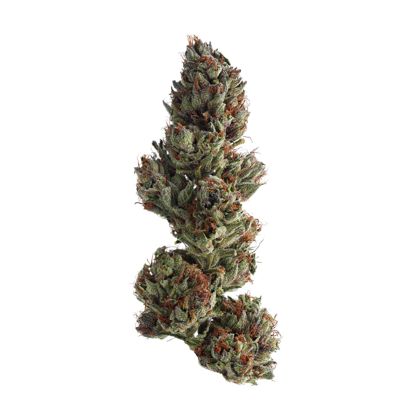 Runtz - Sativa Feminized Marijuana Seeds