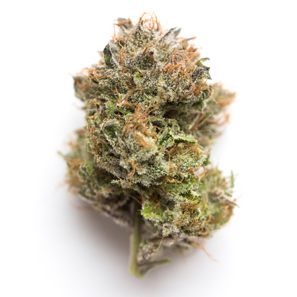 Siberian Hulk F3 - Indica Feminized Marijuana Seeds