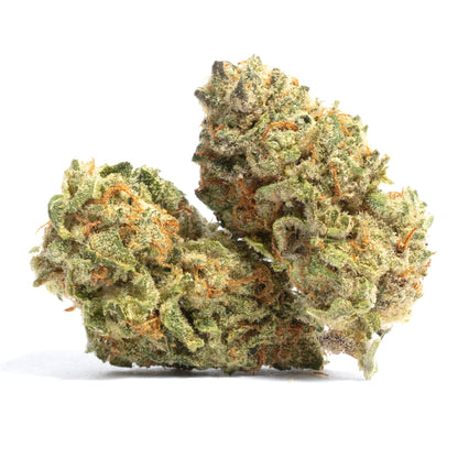 Super Skunk - Indica Feminized Marijuana Seeds