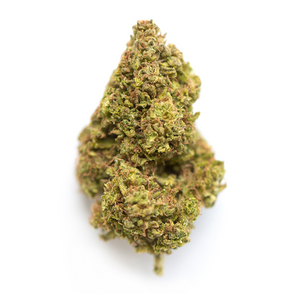 Swazi Gold - Sativa Regular Marijuana Seeds