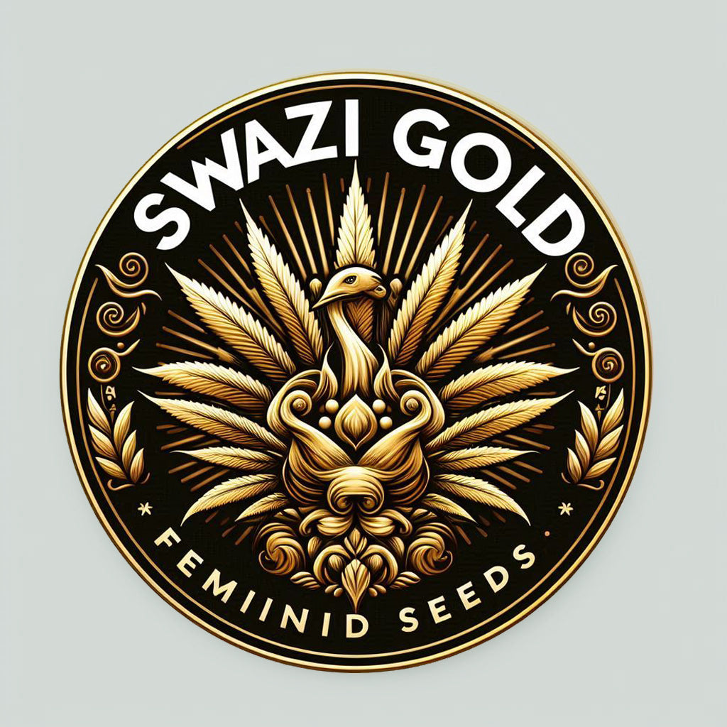 Swazi Gold - Sativa Regular Marijuana Seeds