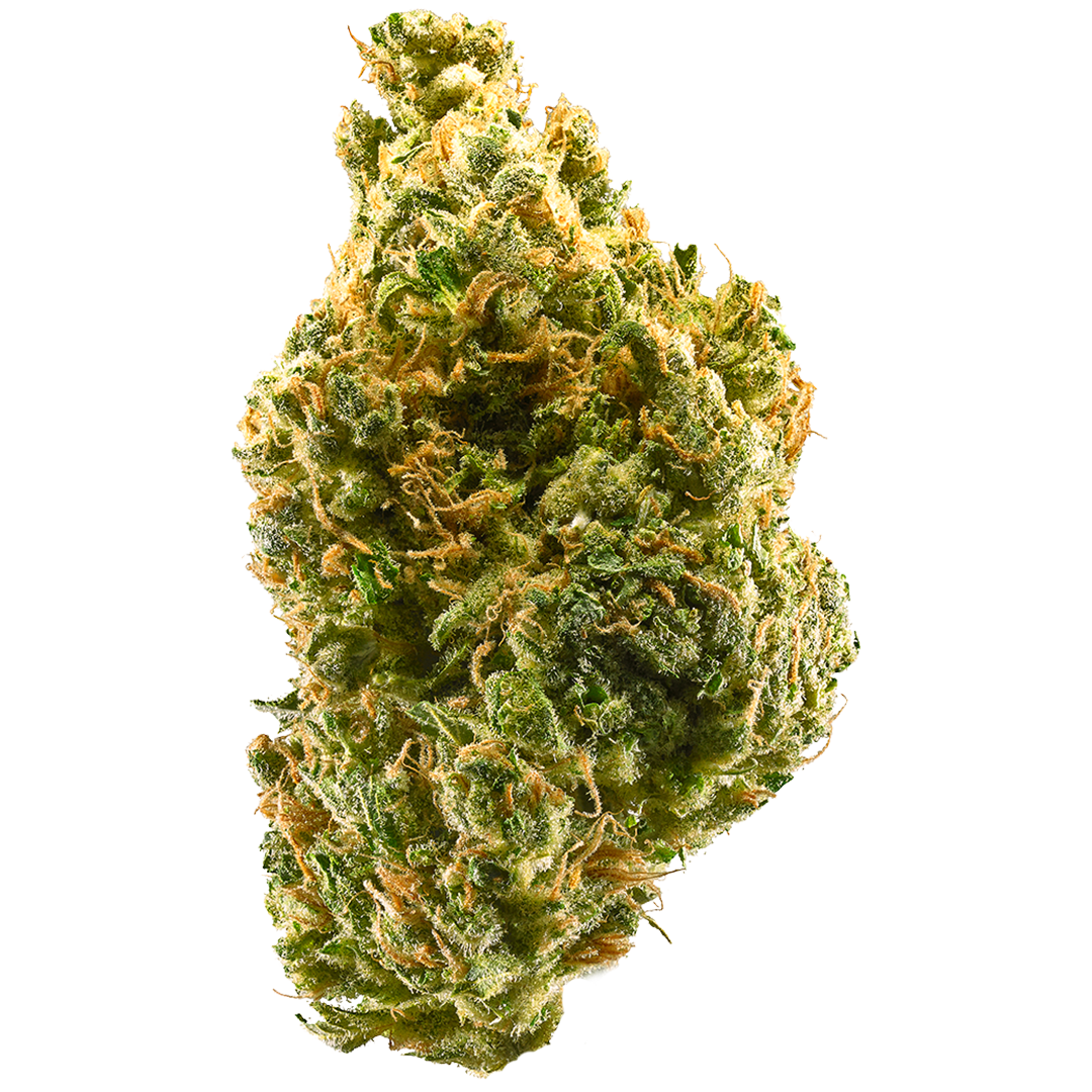 Tangie - Sativa Feminized Marijuana Seeds