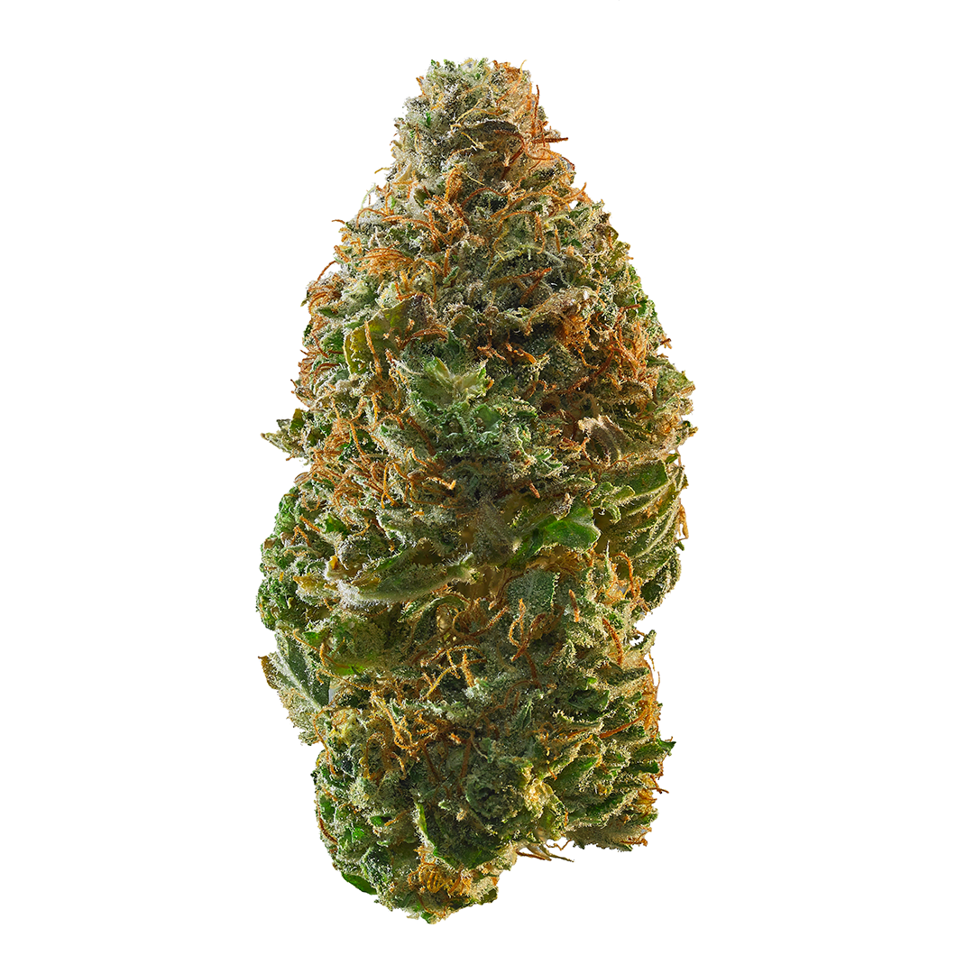 Trainwreck - Sativa Feminized Marijuana Seeds