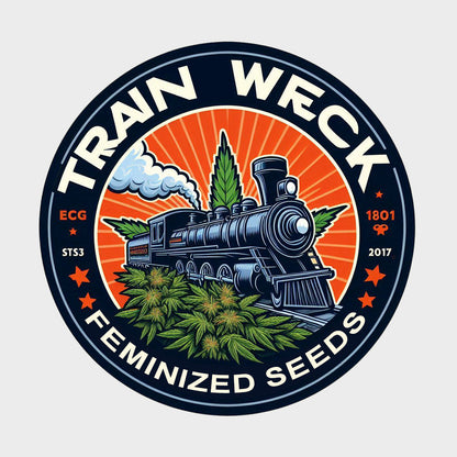 Trainwreck - Sativa Feminized Marijuana Seeds