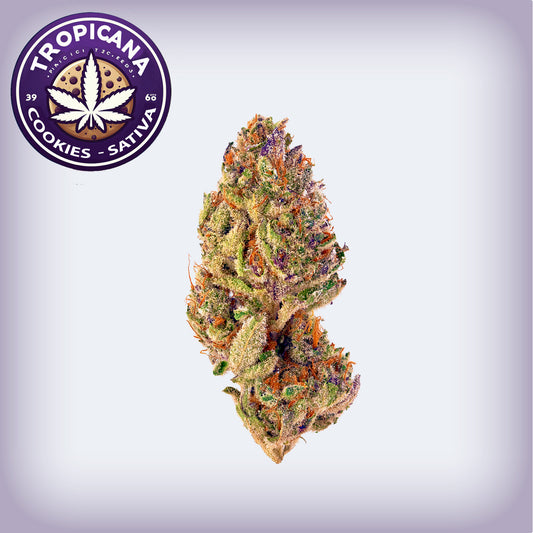 Tropicana Cookies Flower - Sativa