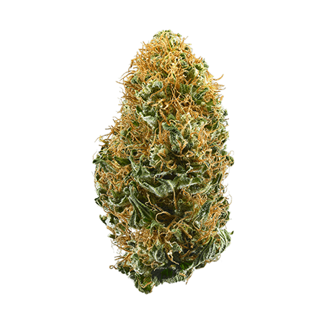 White Widow - Indica  Autoflower Marijuana Seeds