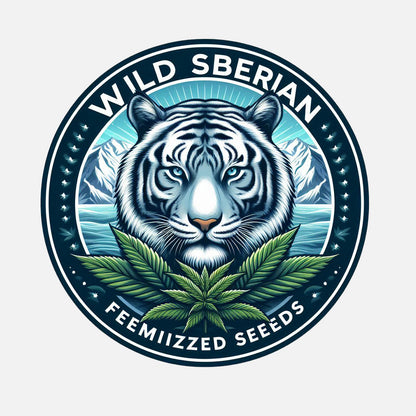 Wild Siberian - Sativa Feminized Marijuana Seeds