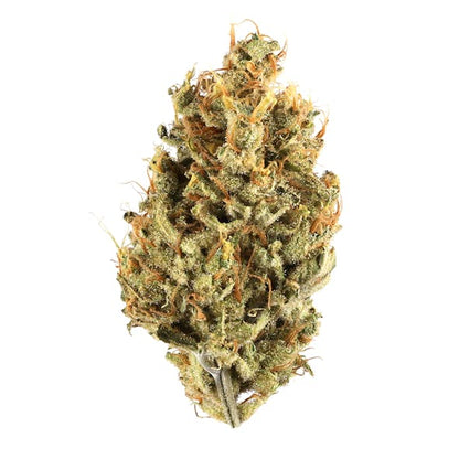 Black Jack  - Autoflower Marijuana Seeds